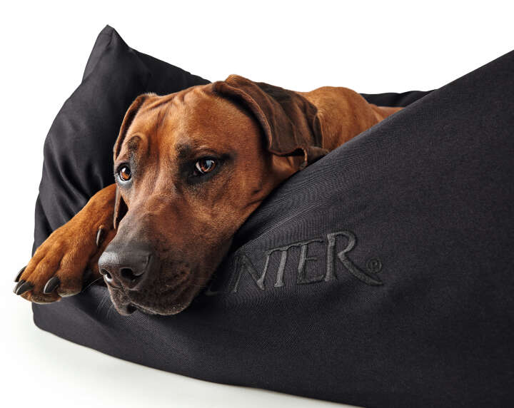 HUNTER Hundesofa Gent